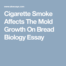 Cigarette Smoke Affects The Mold Growth On Bread Biology