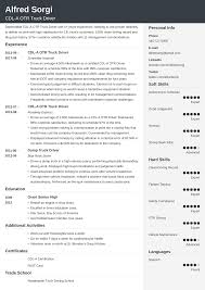 Truck Driver Resume Sample And Complete Guide 20 Examples