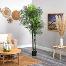 Double Robellini Palm Tree Uv Resistant