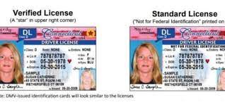real id to take domestic flights