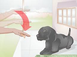 4 Ways To Teach Your Dog To Respond To Hand Signals Wikihow
