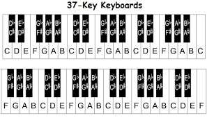 Piano Notes Chart 36 Keys Www Bedowntowndaytona Com