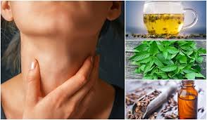 Image result for home remedies collage