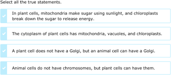ixl compare cells and cell parts