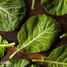 growing collard greens in the home