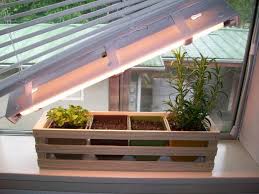 Simple Indoor Herb Garden With