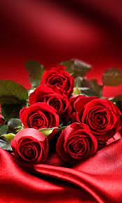 romantic roses hd wallpaper peakpx