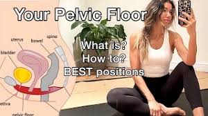 pelvic floor muscles explained in 5