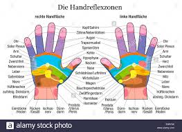 Hand Reflexology Chart With Accurate Description Of The