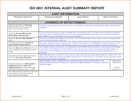 Sample Internal Audit Resume