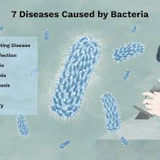 7 Scary Diseases Caused By Bacteria