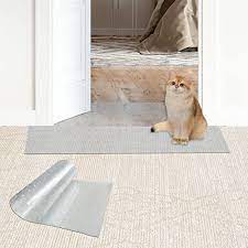 9 superior carpet protector for 2024