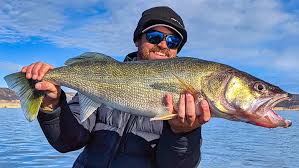 Walleye Fishing In The Pacific