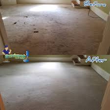 benchmark carpet cleaning