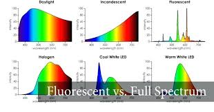 Fluorescent Light Spectrum Aviated Info