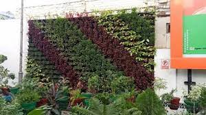 Natural Outdoor Vertical Gardening