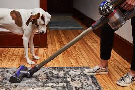 7 best vacuums for pet hair to in