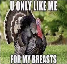 Turkey boobs gif