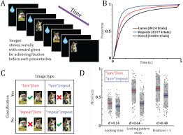 Population Coding Of Pattern Separation In The Monkey