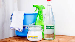 Does Vinegar Kill Mold Does Bleach