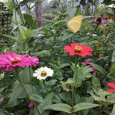 Teras cara menata bunga di depan rumah sederhana by conte posted on october 5, 2020 ada banyak jenis tanaman hias yang bisa digunakan untuk memperindah teras rumah. Grantnsaipan Taman Bunga Depan Rumah