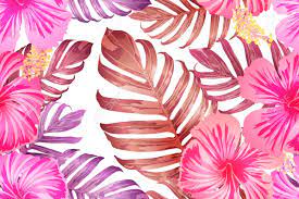 Free for commercial use no attribution required high quality images. Pink Red Exotic Pattern Monstera Leaves And Hibiscus Flowers Royalty Free Cliparts Vectors And Stock Illustration Image 123979386