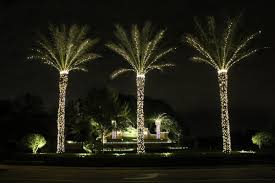 palm desert christmas lights premier