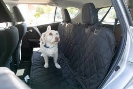 The 9 Best Back Seat Covers For Dogs