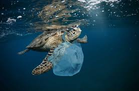Inquinamento nel Mediterraneo, un "mare di plastica" - Etica Sgr