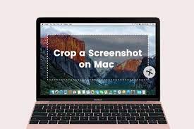 to crop a screenshot on mac 2024