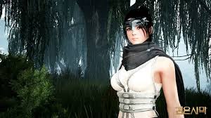 The kunoichi class is the female counter part to the ninja class. Additional Classes Coming To Black Desert Online Mmoexaminer