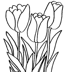 Gaya hitam dan putih gaya lukisan simpul yang indah gambar. Detail Gambar Sketsa Bunga Gambar Mozaik Bunga Tulip