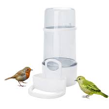 Distributeur automatique d'eau pour petits oiseaux, mangeoires à eau pour  oiseaux sauvages, bouteille à boire | AliExpress