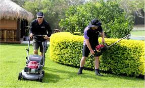Lawn Mowing Services Express Lawn
