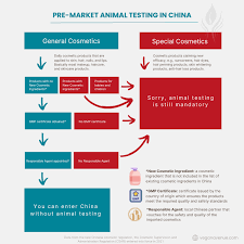 testing in china everything you