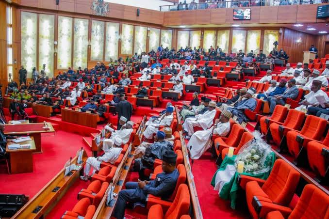 Nation Building, Capacity, Character Basis For Electing Senate President, Not Ranking – Barr Uchenna Orji