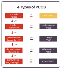 4 Types Of Pcos A Flowchart Lara Briden The Period