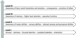 levels of self awareness