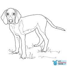 Boston terrier pup mailing labels. American Foxhound Coloring Pages American Foxhound The Fox And The Hound Dog Coloring Page