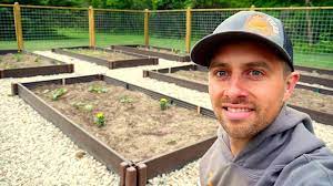 raised vegetable garden beds