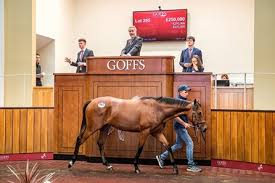 At goffs we are following the advice and direction of the authorities in ireland and the uk with our primary focus being on the health and wellbeing of our. Records Established At Goffs Uk Premier Yearling Sale Bloodhorse