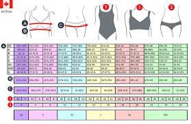 swimwear measuring guide bra sizing guide