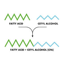 cetylated fatty acids cetilar