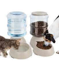 dog cat feeder and water dispenser