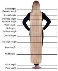 Hair Length Chart Hair Theme