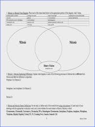 Comparing And Contrasting Mitosis And Meiosis Venn Diagram