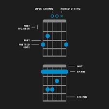 How To Play Guitar Chords Learn Basic Chords Fender Play