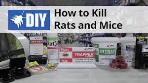Online retailer of professional pest and termite control products and supplies for use by homeowners, businesses and government agencies. Do My Own Do It Yourself Pest Control Lawn Care Gardening Equipment Animal Care Products Supplies