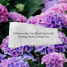 5 flowers that say thank you to the