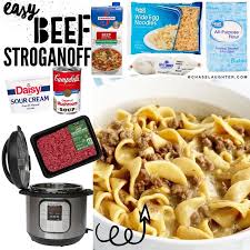 instant pot easy beef stroganoff
